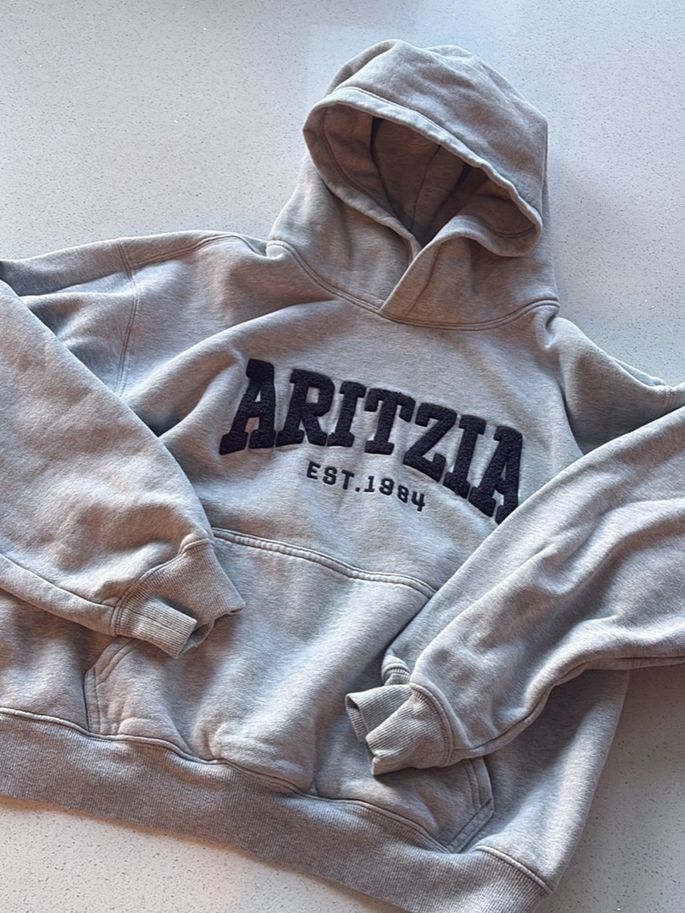 Aritzia Perfect Fit Hooded Sweatshirt - Classic Logo Pullover